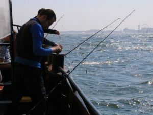 UA230513 Dagtocht Zeevissen ZEEVISSEN 01.jpg